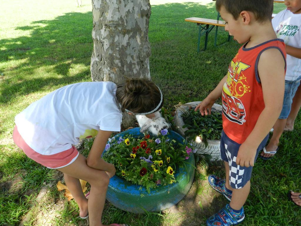 מלון איסולה דלה סקאלה Agriturismo Zio Michele מראה חיצוני תמונה