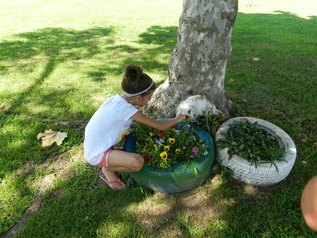 מלון איסולה דלה סקאלה Agriturismo Zio Michele מראה חיצוני תמונה