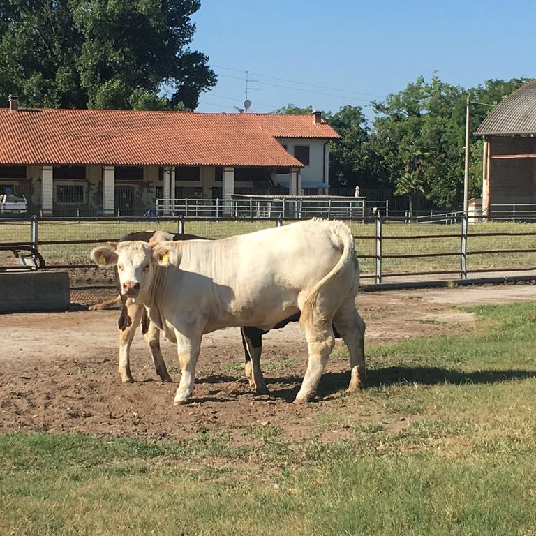 מלון איסולה דלה סקאלה Agriturismo Zio Michele מראה חיצוני תמונה