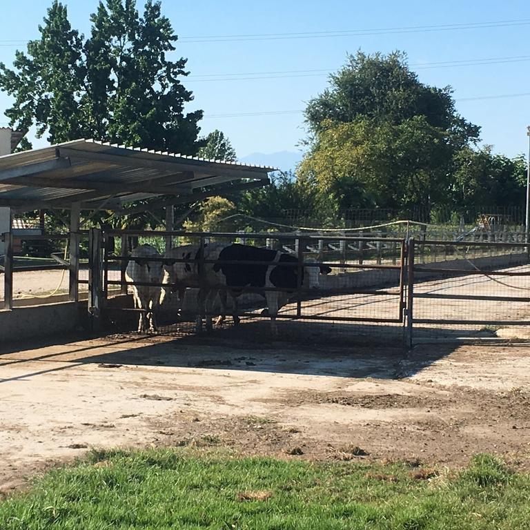 מלון איסולה דלה סקאלה Agriturismo Zio Michele מראה חיצוני תמונה